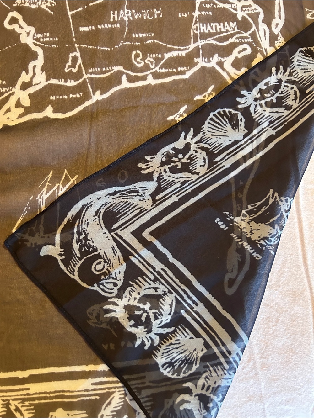 Cape Cod Map Scarf  - Blue - Picture 2 of 12
